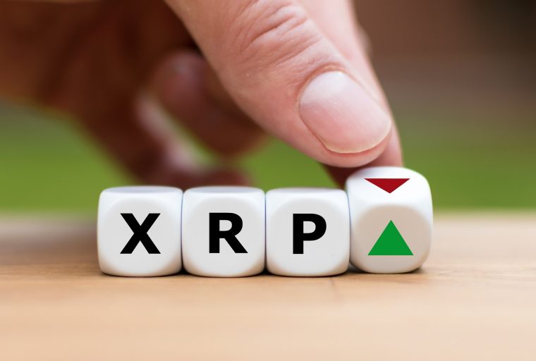  La demanda contra Ripple puede decidir el destino de XRP pero los reguladores tienen la última palabra 