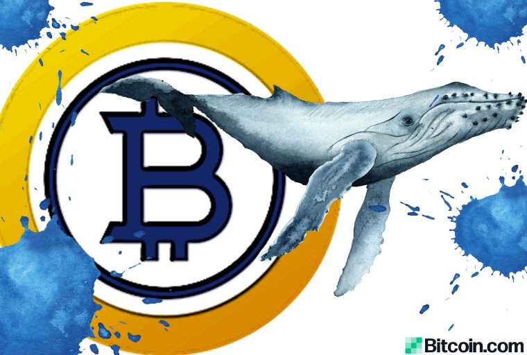  La ballena de oro de Bitcoin supuestamente controla la mitad del suministro de BTG 