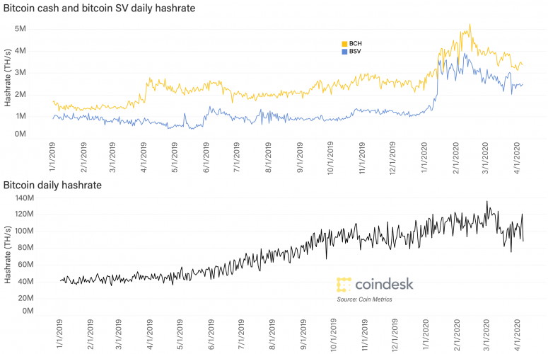bsv-bch-btc-daily-hashrate