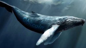  Picos de población de ballenas de Bitcoin a 1,882 - Nivel más alto en tres años 