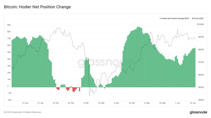  Los titulares obtienen 233K BTC este año, mientras que Bitcoin Cash Savers Outshine Composition by Time Held [19659008] Los titulares recolectan 233K BTC este año, mientras que Bitcoin Cash Savers eclipsan la composición de Time Held 